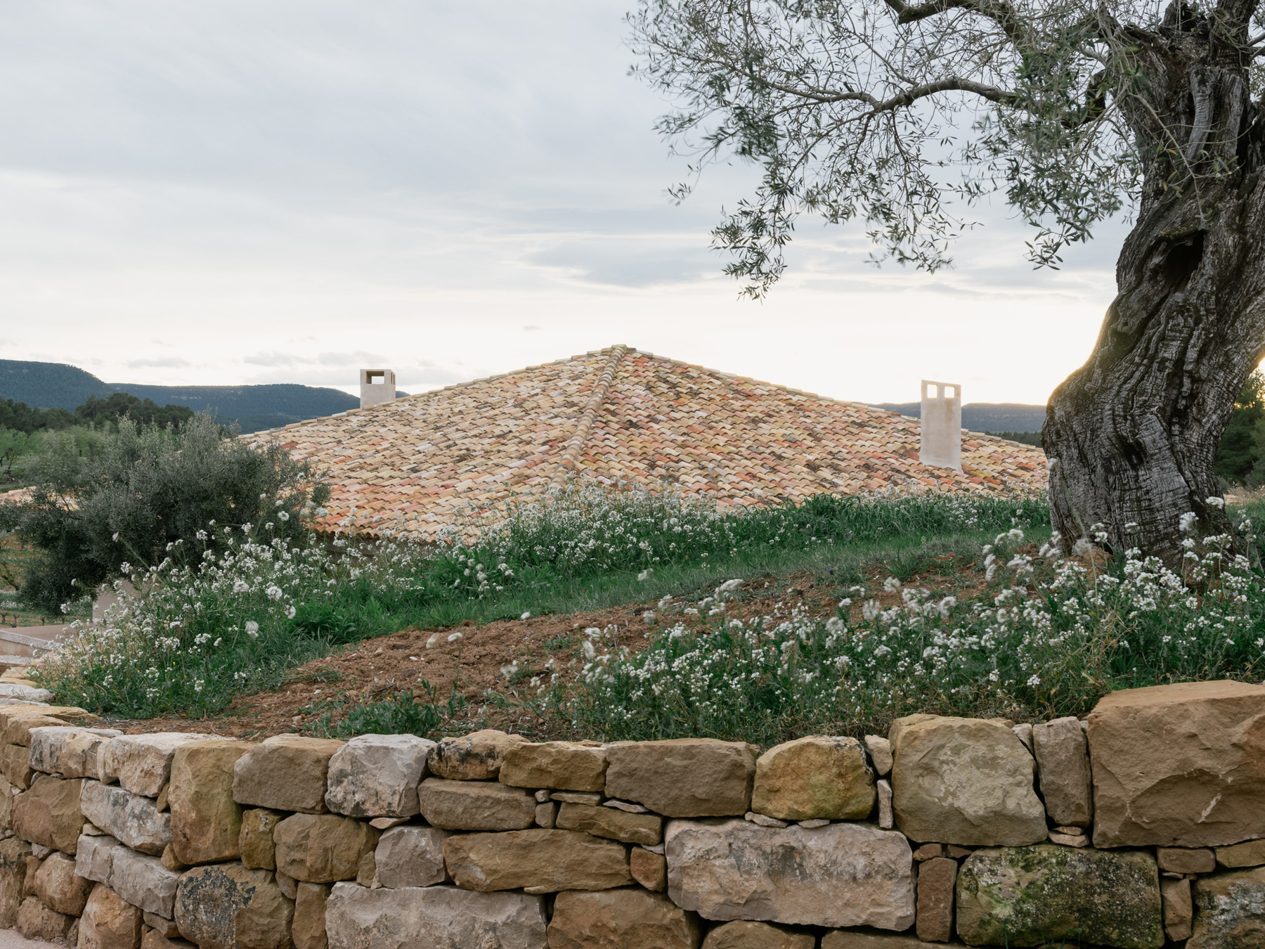 Casa EF MDBA Architects